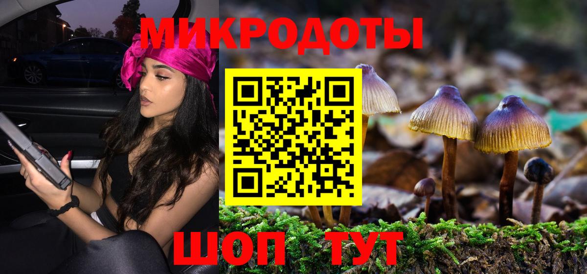 Псилоцибиновые грибы MAGIC MUSHROOMS  Вход с VPN  Сибай 