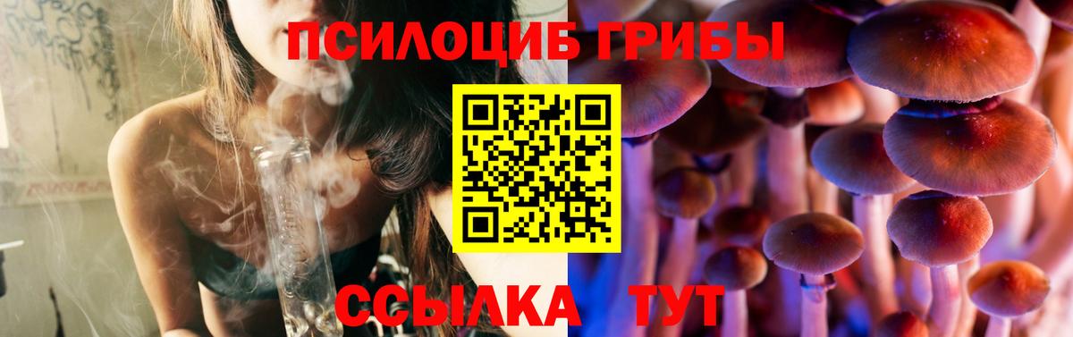 Галлюциногенные грибы ЛСД  Сибай 